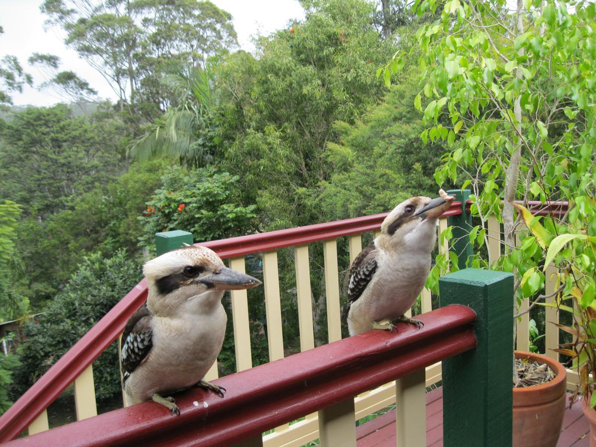 Shasta Place Apartment Mount Tamborine Luaran gambar